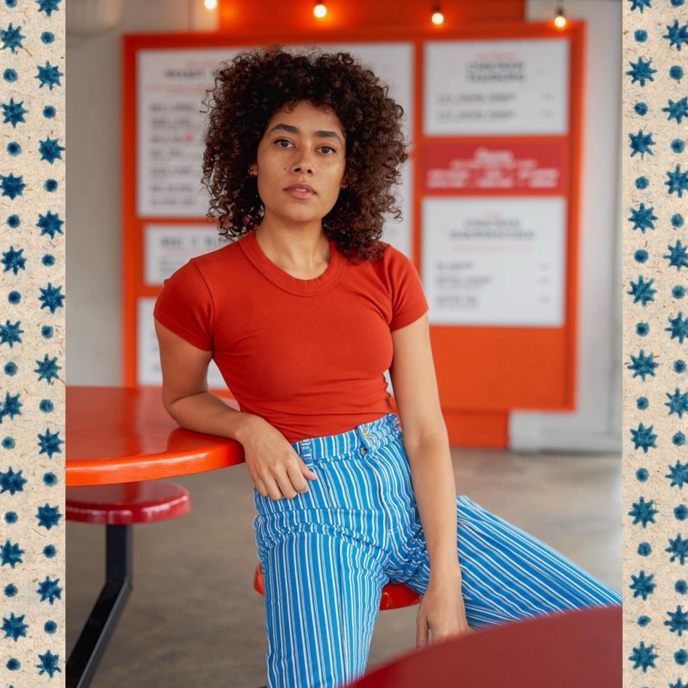 Big Bud Press Western Pants | Size M | Blue Stripe